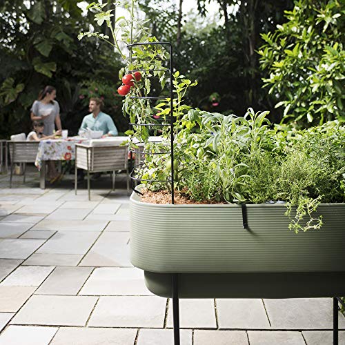 Crescent Garden Nest Indoor/Outdoor Raised Garden-Bed Planter Box 22-Inch x 44-Inch Olive