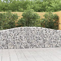 Arched Gabion Baskets 2 pcs 157.5"x11.8"x31.5"/39.4" Galvanized Iron White Black Other