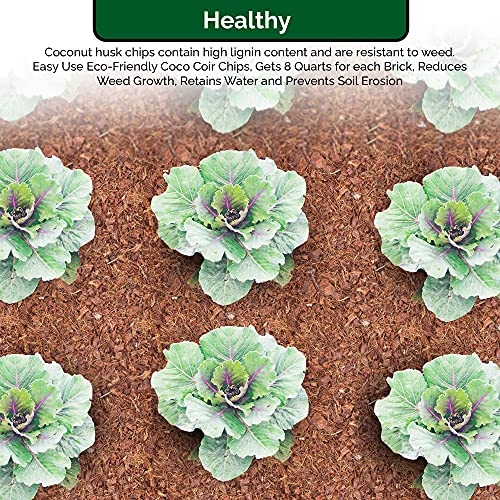 UBICON Organic Coco Coir Top Soil for Indoor/Outdoor Plants, 4 Bricks Expand to 10 Gallons