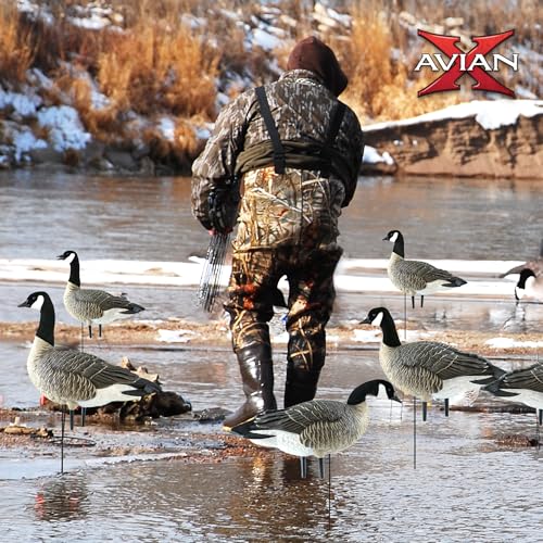 Avian-X Topflight Early Season Teal & AXP Honkers Fusion Canada Goose Decoy Set 6 Pack