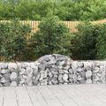 Arched Gabion Baskets 4 pcs Galvanized Iron Outdoor Plant Pots Self-Watering White Black