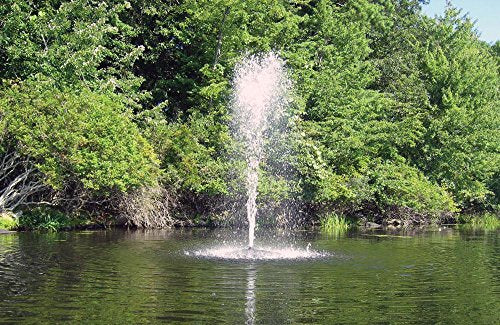 Fawn Lake Fountains Pond Fountain with 1/2 HP Pump, 7 Patterns, 100ft Cord Black