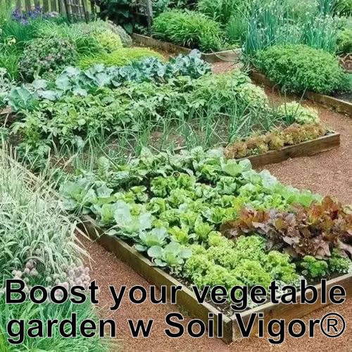 Soil Vigor Potassium Polymer Water Storing Crystals Gel 45 Pounds White