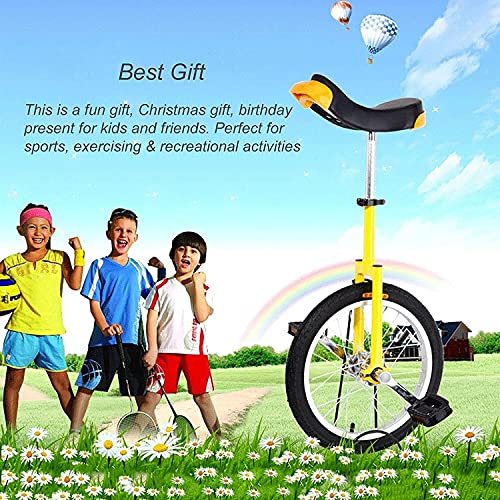 JINCAN Unisex Beginner Unicycle 18 Inch with Anti-Skid Tires