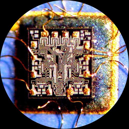 AmScope Digital Trinocular Stereo Zoom Microscope 2X-225X White