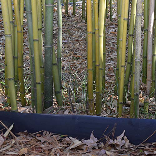 Bamboo Shield Bamboo Root Barrier/Water Barrier 200ft x 24in x 60mil Black