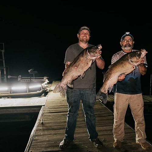 FOXPRO Mudcutter Bowfishing Lights LED Light Kit Remote Operated Black