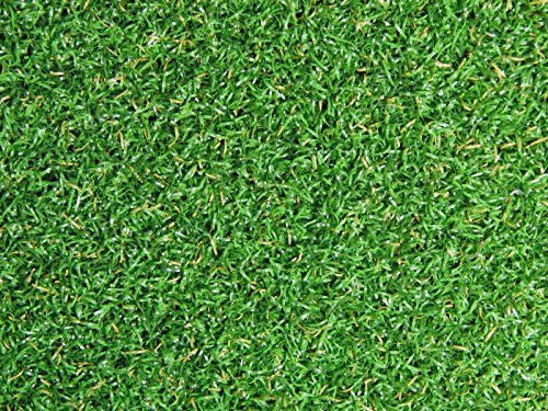 PREMIUM PRO TURF Professional Synthetic Nylon Turf Artificial Grass Indoor/Outdoor Golf Green 12ft x 15ft