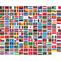World Flags Direct 3x5 United Nations Polyester Flag Set Multicolor