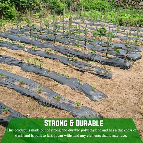 Farm Plastic Supply Heavy Duty Weed Control 6 Mil Black Plastic Sheeting 40' x 200'