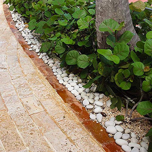 MARGO GARDEN PRODUCTS Rainforest Egg Rock Caribbean Beach Pebbles Super Sack White