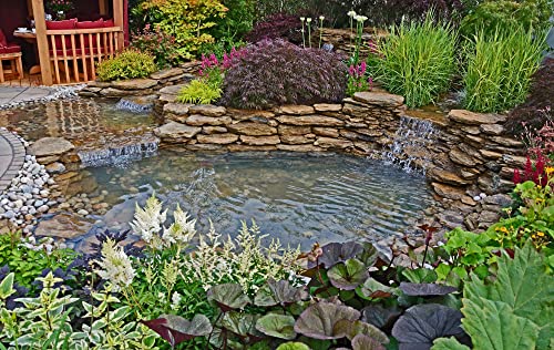 LifeGuard Pond Liner 20 ft. x 50 ft. 60 Mil EPDM Rubber Black