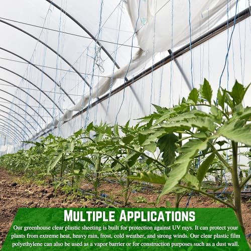 Farm Plastic Supply String Reinforced 10 mil Clear Greenhouse Plastic Sheeting Clear 60' x 75'