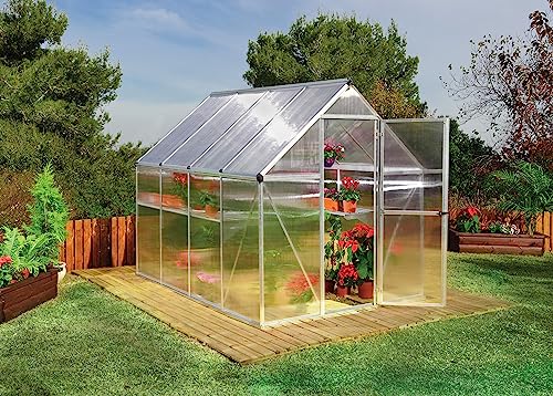 Palram Canopia 6x8 Greenhouse Kit Silver