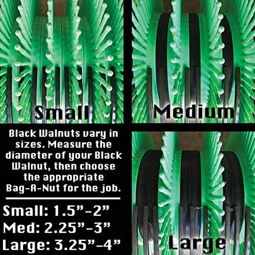 Bag-A-Nut 18” Push Black Walnut Harvester Nut Picker Upper - Small (Nuts 1 1/2" to 2")