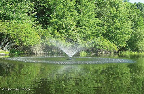Fawn Lake Fountains Pond Fountain with 1/2 HP Pump, 7 Patterns, 100ft Cord Black
