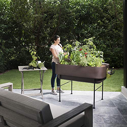 Crescent Garden Nest Indoor/Outdoor Raised Garden-Bed Planter Box 22-Inch x 44-Inch Olive