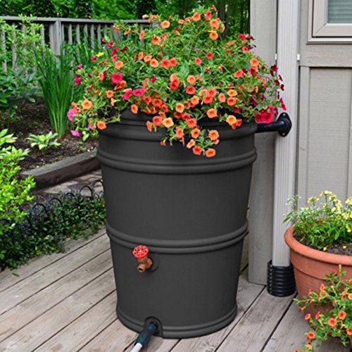 EarthMinded Rain Station 45 Gallon