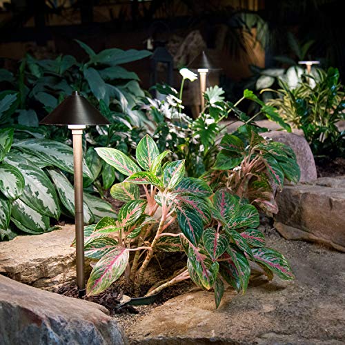 Aquascape Path and Area LED Landscape Light 6-Pack Durable Brass Antique Bronze Finish Brown