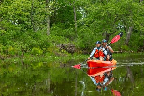 Wilderness Systems Targa 130T Tandem Sit on Top Kayak Mango