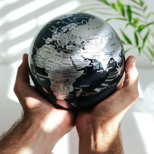 MOVA 8.5" Silver and Black Metallic Globe Silver/Black