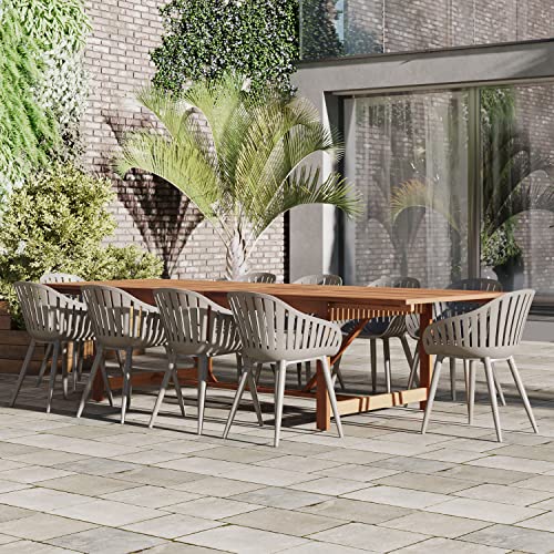 International Home Miami Amazonia 11-Piece Rectangular Patio Dining Set with Grey Aluminium Chairs