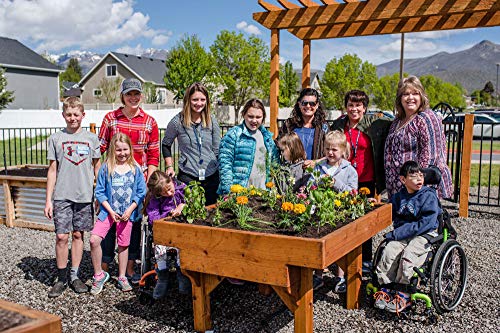 WOG Red Cedar Raised Garden Bed ADA Compliant 48" W x 45" L x 24" - 30" H Red
