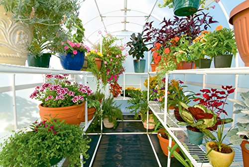 Solexx Gardeners Oasis Greenhouse 3.5MM Deluxe 8'x8'x8' White