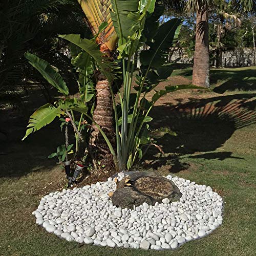 MARGO GARDEN PRODUCTS Rainforest Egg Rock Caribbean Beach Pebbles Super Sack White