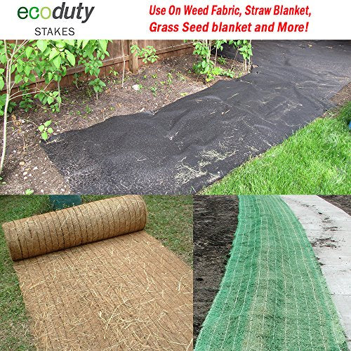 Smart Spring Contractor Grade 6 Inch Biodegradable Stakes Green