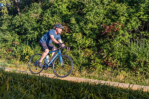 Schwinn Fastback AL Claris Performance Road Bike Blue