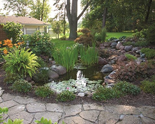 Aquascape DIY Backyard Pond Kit 6ft x 4ft Black