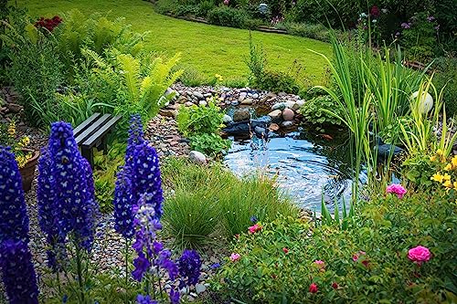 HALF OFF PONDS Savio Signature 4000 Water Garden and Pond Kit with EPDM Rubber Liner and UV Clarifier Black