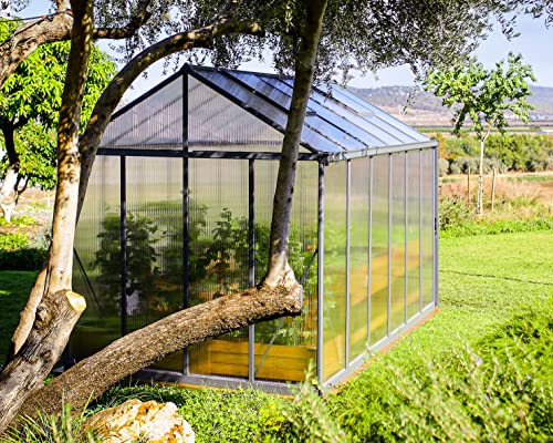 Palram Canopia Glory 8x12 Ft. Greenhouse Kit with Lockable Door and Vent Gray