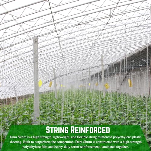 Farm Plastic Supply String Reinforced 10 mil Clear Greenhouse Plastic Sheeting 54' x 100'