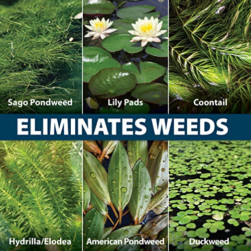 Airmax Wipeout Pond Weed Defense Herbicide 1 Gallon