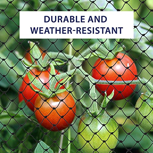 Bird-X Heavy-Duty Netting 50ft x 100ft Black