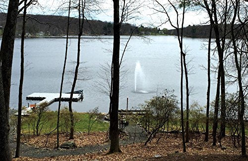 Fawn Lake Fountains FLF Pro-1000 Pond Fountain with 1 HP Pump and 7 Display Patterns