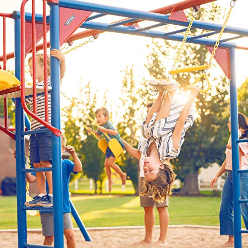 Lifetime Monkey Bar Adventure Swing Set Primary
