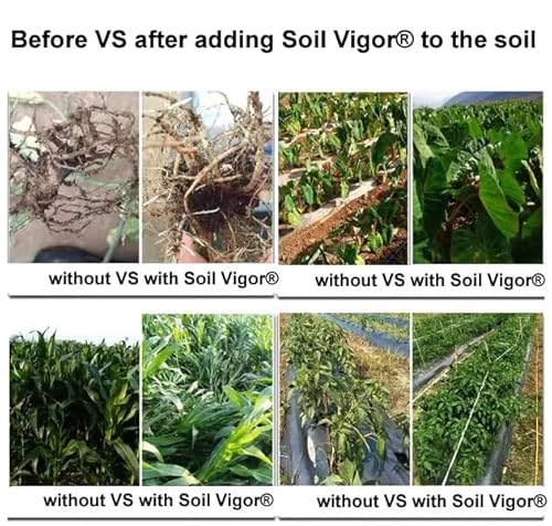 Soil Vigor Potassium SAP for Efficient Watering and Fertilization 40 Pounds