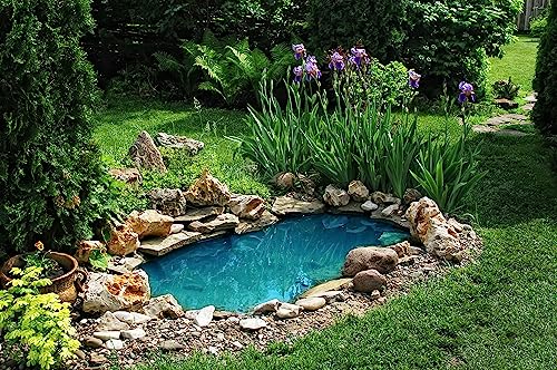 HALF OFF PONDS Hybrid 3000 Water Garden and Pond Kit with 15x20 ft EPDM Rubber Liner Black