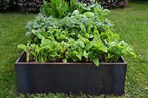 Nice Planter Nicer Corten Planter Bed 48"x48"x16"H Rust
