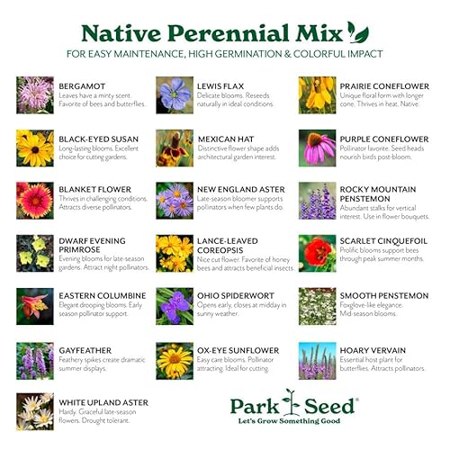 Park Seed Grow Your Own Wildflower Garden Seeds Native Perennial Mix 10 lbs
