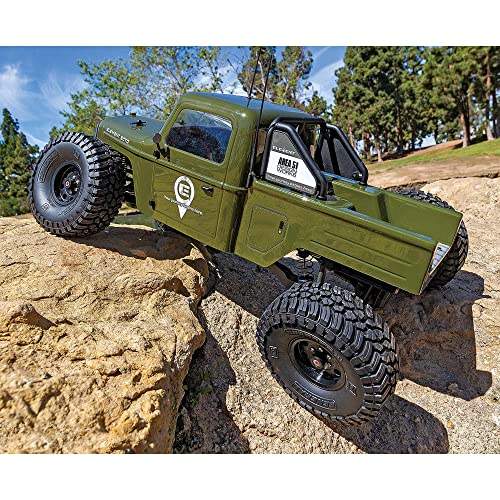 Team Associated Enduro Ecto Trail Truck Electric RTR 1/10 Off-Road Green