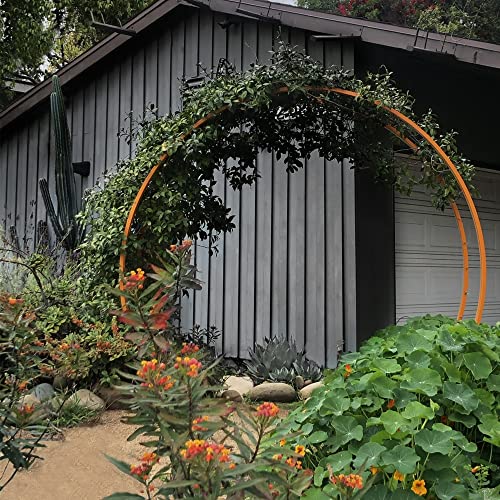 Terra Trellis Original Gracie Modern Arbor Moongate Oxide