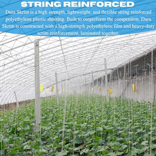 Farm Plastic Supply Vapor Barrier Supply - String Reinforced 10 mil Clear Greenhouse Plastic Sheeting 32' x 80' Clear