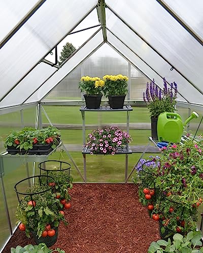 Palram Canopia 6x8 Greenhouse Kit Silver