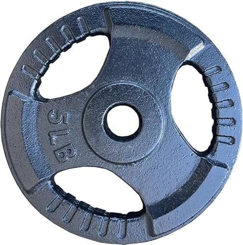 French Fitness Standard Cast Iron 1" Weight Plate Set 350 lbs