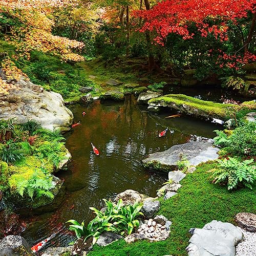 HALF OFF PONDS Pondbuilder Elite PRO 10000 Mega Pond Kit with 30x50 Foot EPDM Liner, 40" Waterfall, 15" Skimmer, Submersible Pump Black