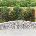 Arched Gabion Baskets 2 pcs Galvanized Iron for Outdoor Plants White Black